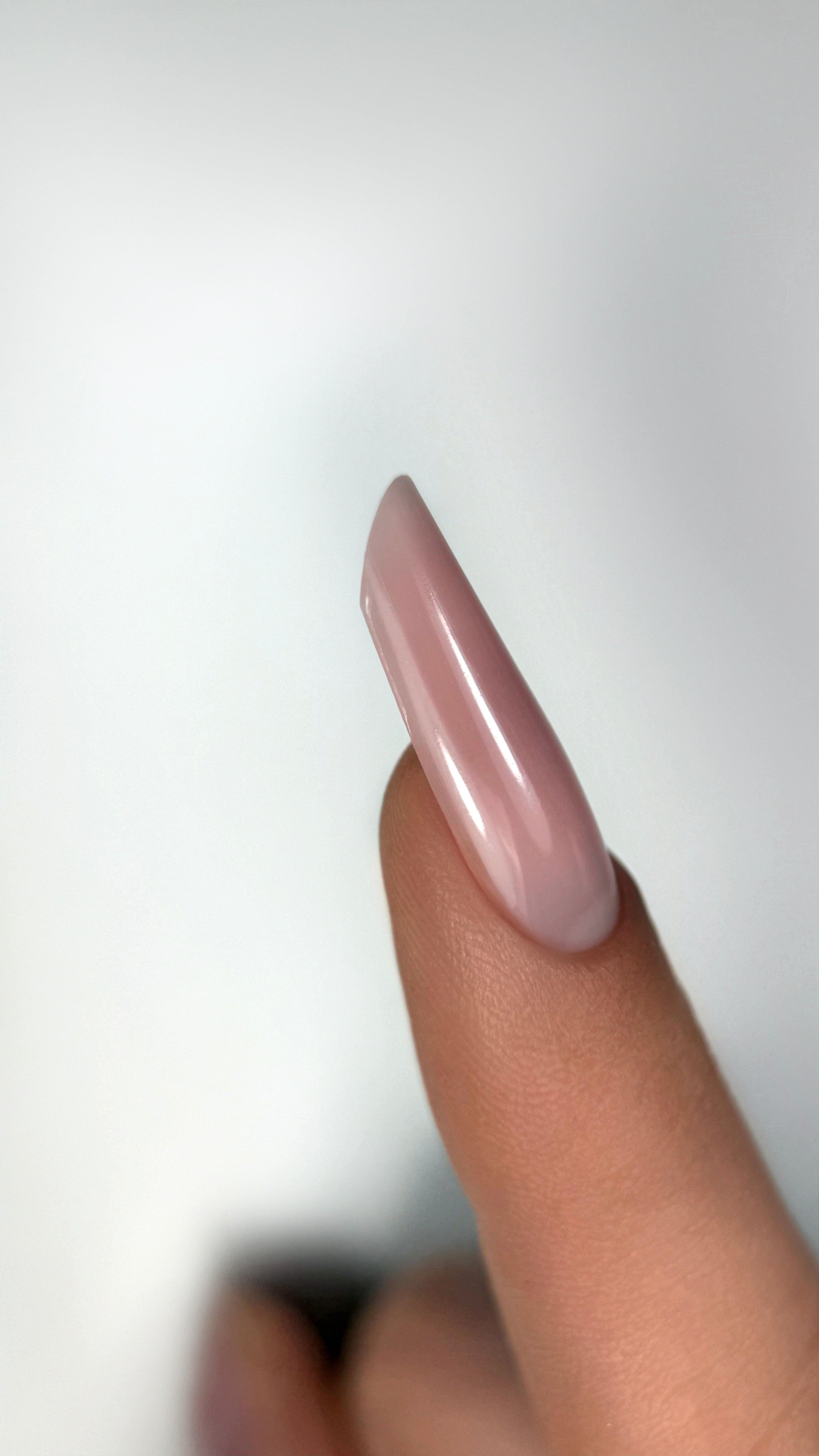 Neue Dual Tips Arched Almond Form 140Stk. Model F4 von Trendy Nails