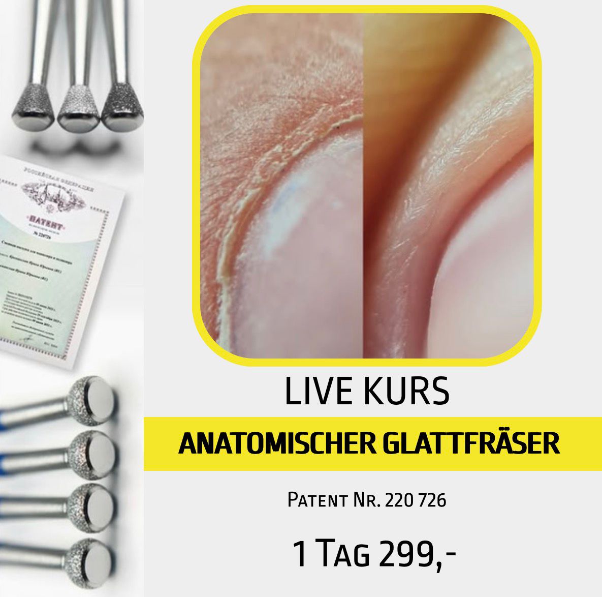 LIVE Kurs Anatomischer Glattfräser von Natalie Schleicher in Mechernich in deutscher Sprache-Termin nach Vereinbarung