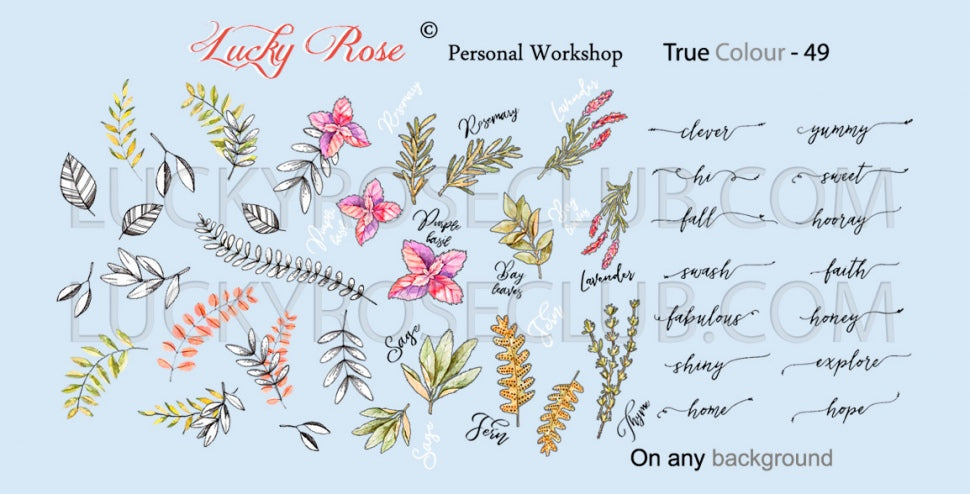 Sticker Design "True Colour" 49 (Adesivi solubili in acqua) Lucky Rose