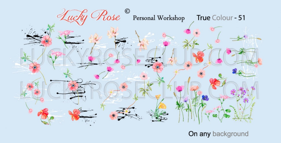 Design del adesivo "True Colour" 51 (adesivi solubili in acqua) Lucky Rose