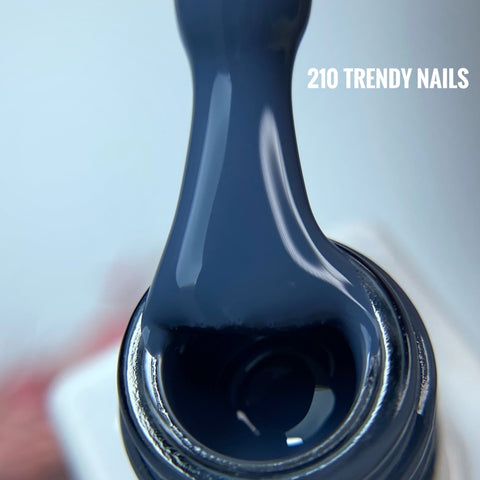 Gel Polish Nr.210 von Trendy Nails (8ml)