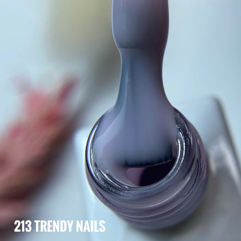 Gel Polish Nr.213 von Trendy Nails (8ml)