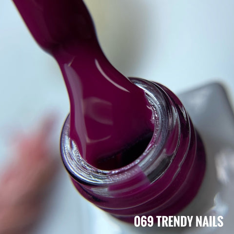 Gel Polish Nr. 069 von Trendy Nails (8ml)