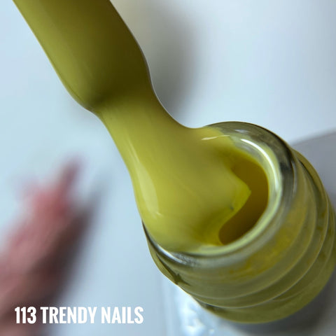 Gel Polish Nr.113 von Trendy Nails (8ml)