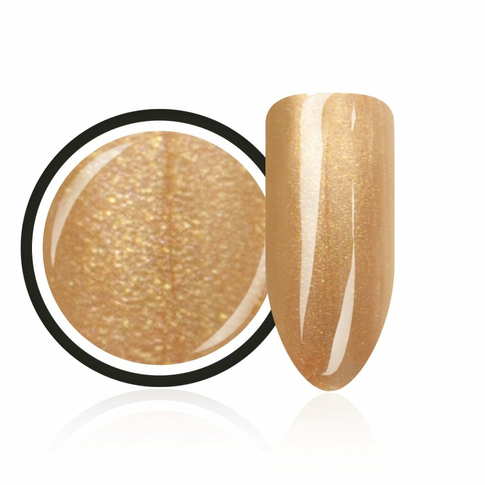 Farbgel ,,Metallic Golden Queen" von Trendnails 5ml (TPO-free)
