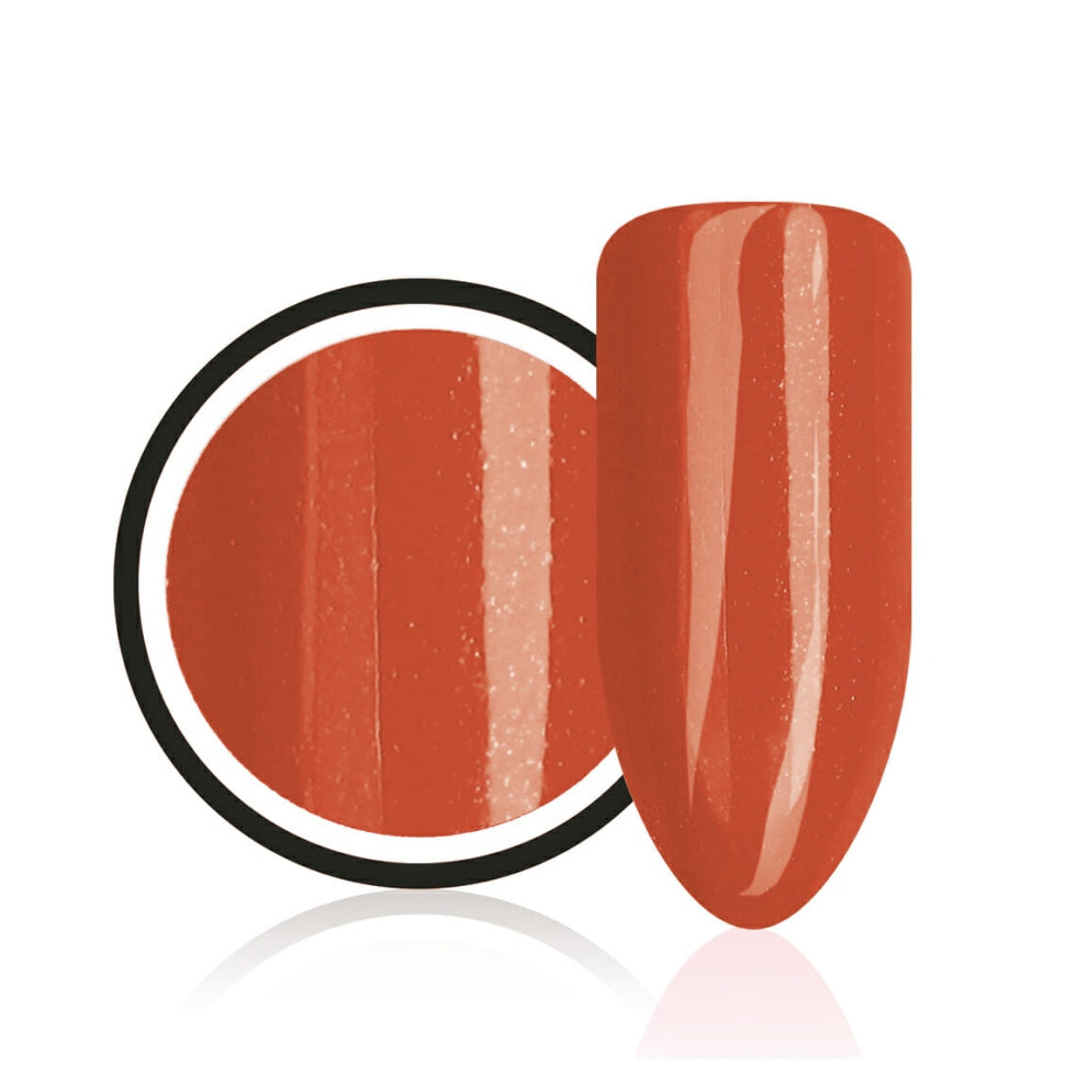 Farbgel ,,Chinese Holiday" von Trendnails 5ml (TPO-free)
