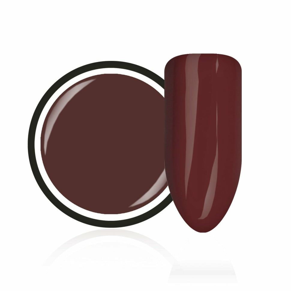 Farbgel "Dark Mauve" von Trendnails 5ml (TPO-free)