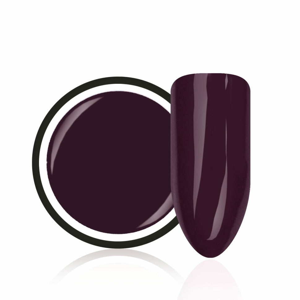Farbgel "Dark Plum" von Trendnails 5ml  (TPO-free)