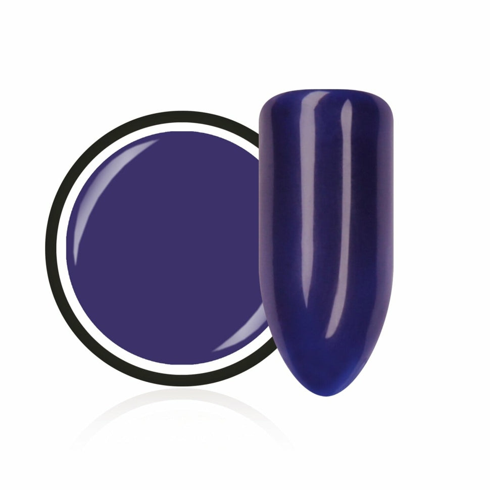 Farbgel Classic "Plum" von Trendnails 5ml  (TPO-free)