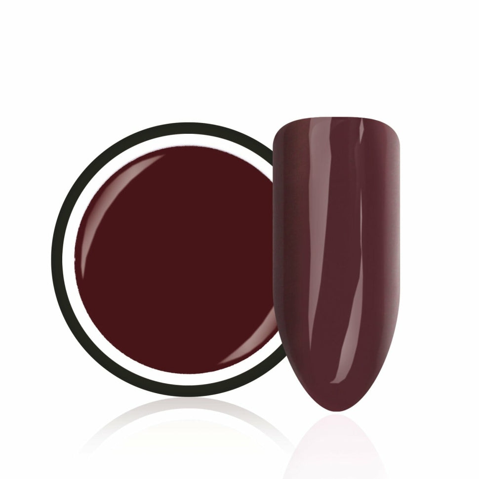 Gel colorato Classico "Amaretto" di Trendnails 5ml