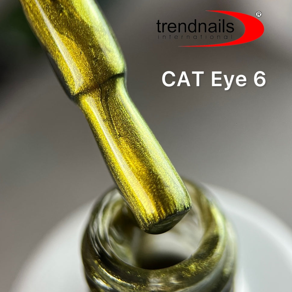 Transparent Cat Eye Polish 10 ml von Trendnails