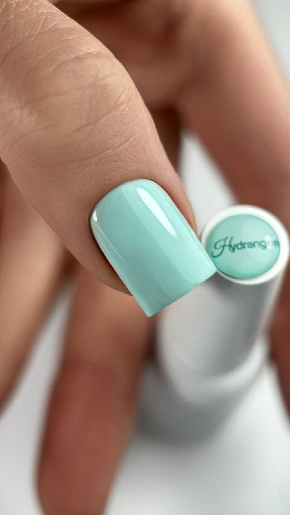 Gel Polish Hydrangea 5ml/10ml von Trendy Nails (TPO/HEMA-free)