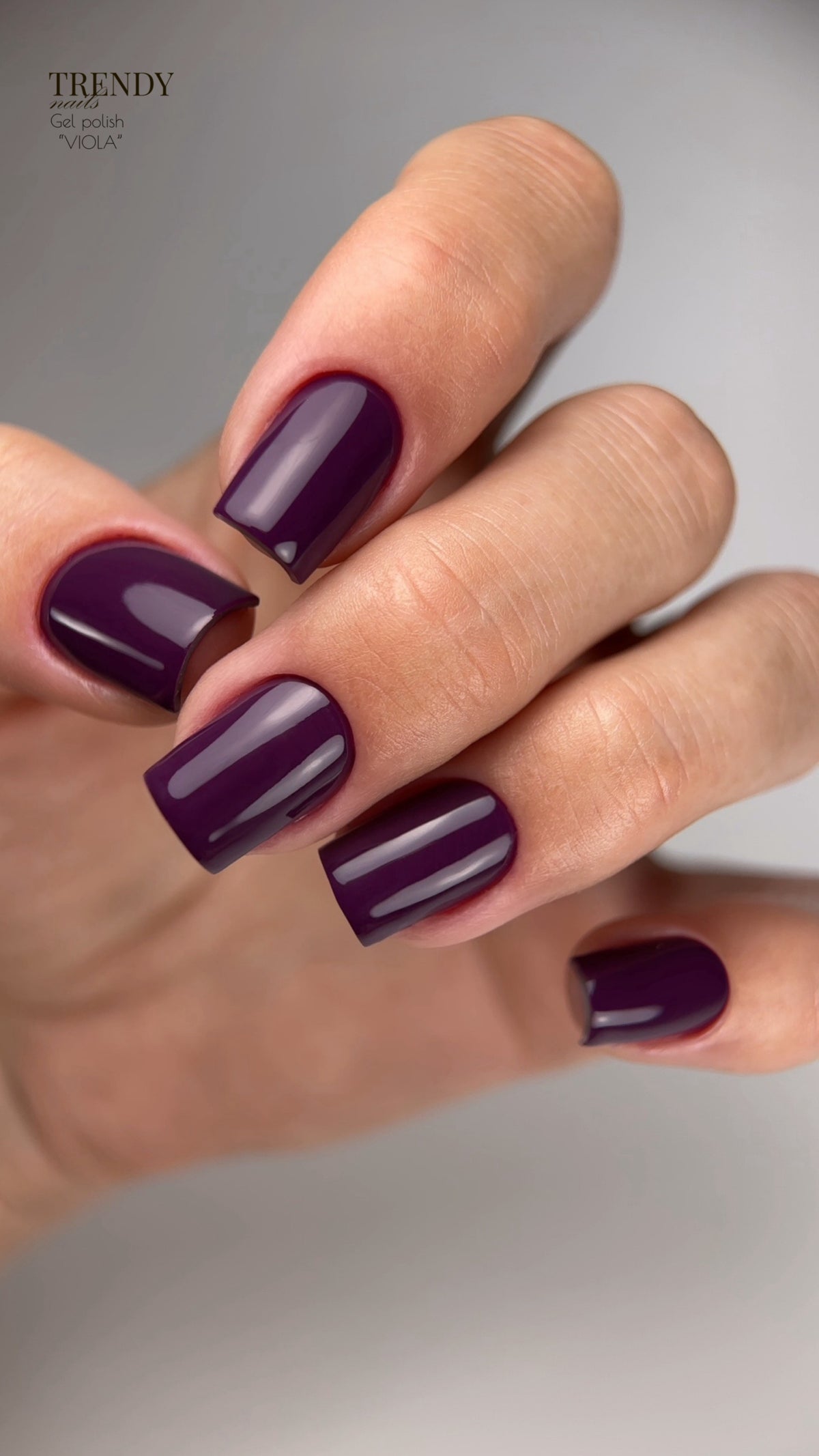 Collezione di Smalti in Gel Vintage Chic (5x8ml) di Trendy Nails