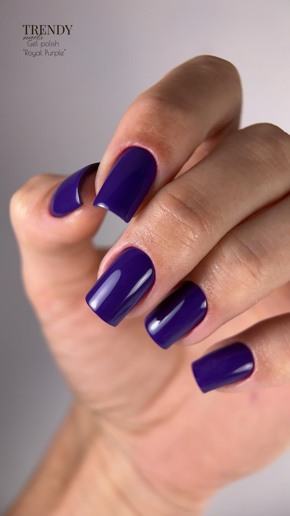 Gel Polish Royal Purple 5ml/10ml von Trendy Nails (TPO/HEMA-free)