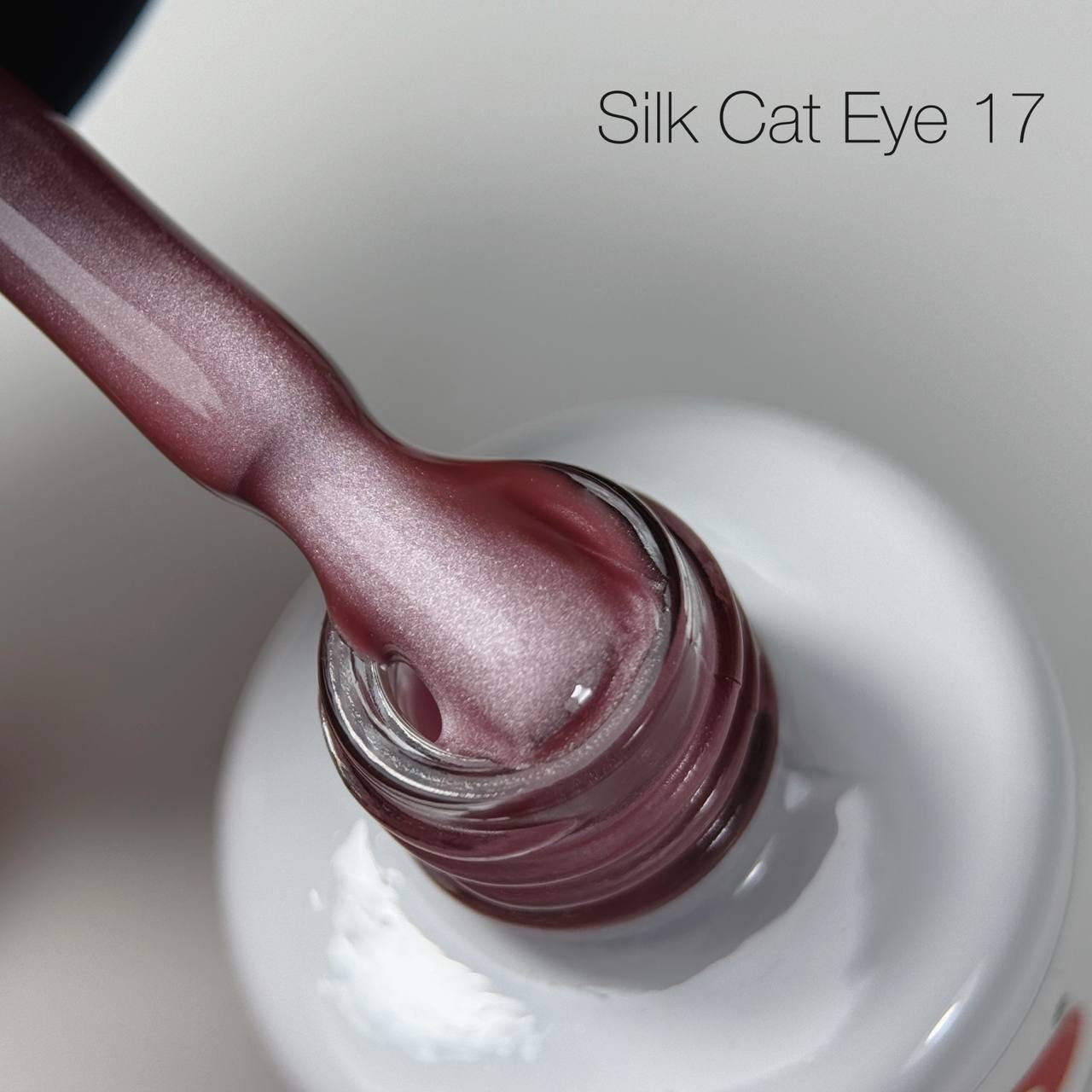 Silk Cat Eye Gel Polish 10 ml von Trendnails Nr. 17