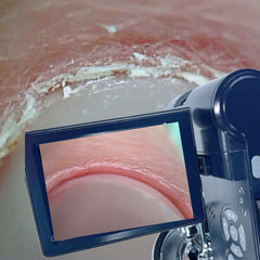 LIVE Kurs Lysaya Freza von Natalie Schleicher am 28-29.03.2026 in Mechernich in russischer Sprache