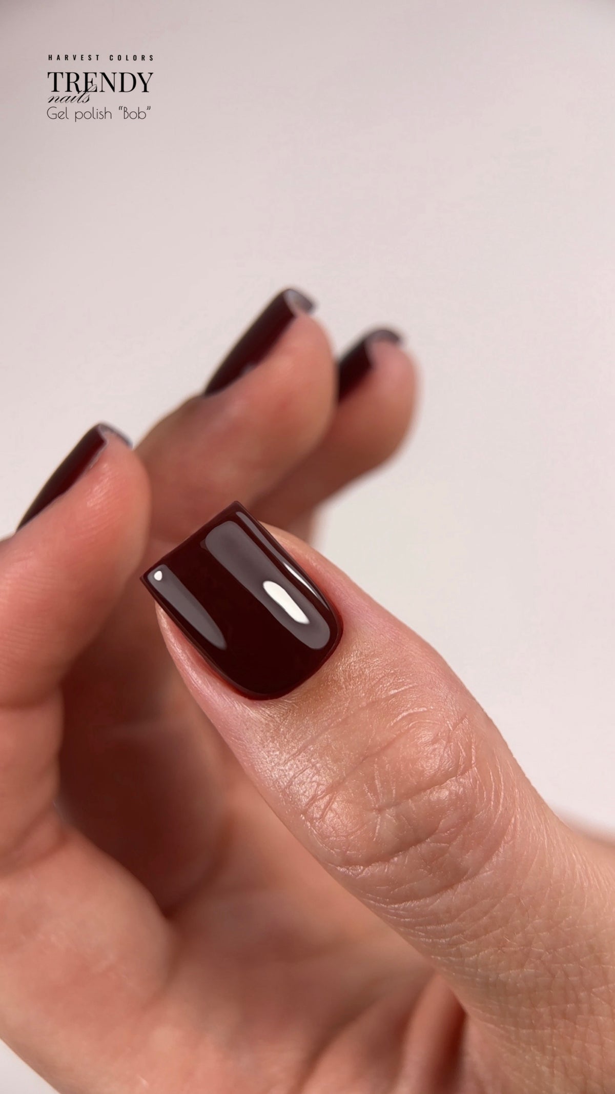 Collezione di Smalti in Gel Vintage Chic (5x8ml) di Trendy Nails