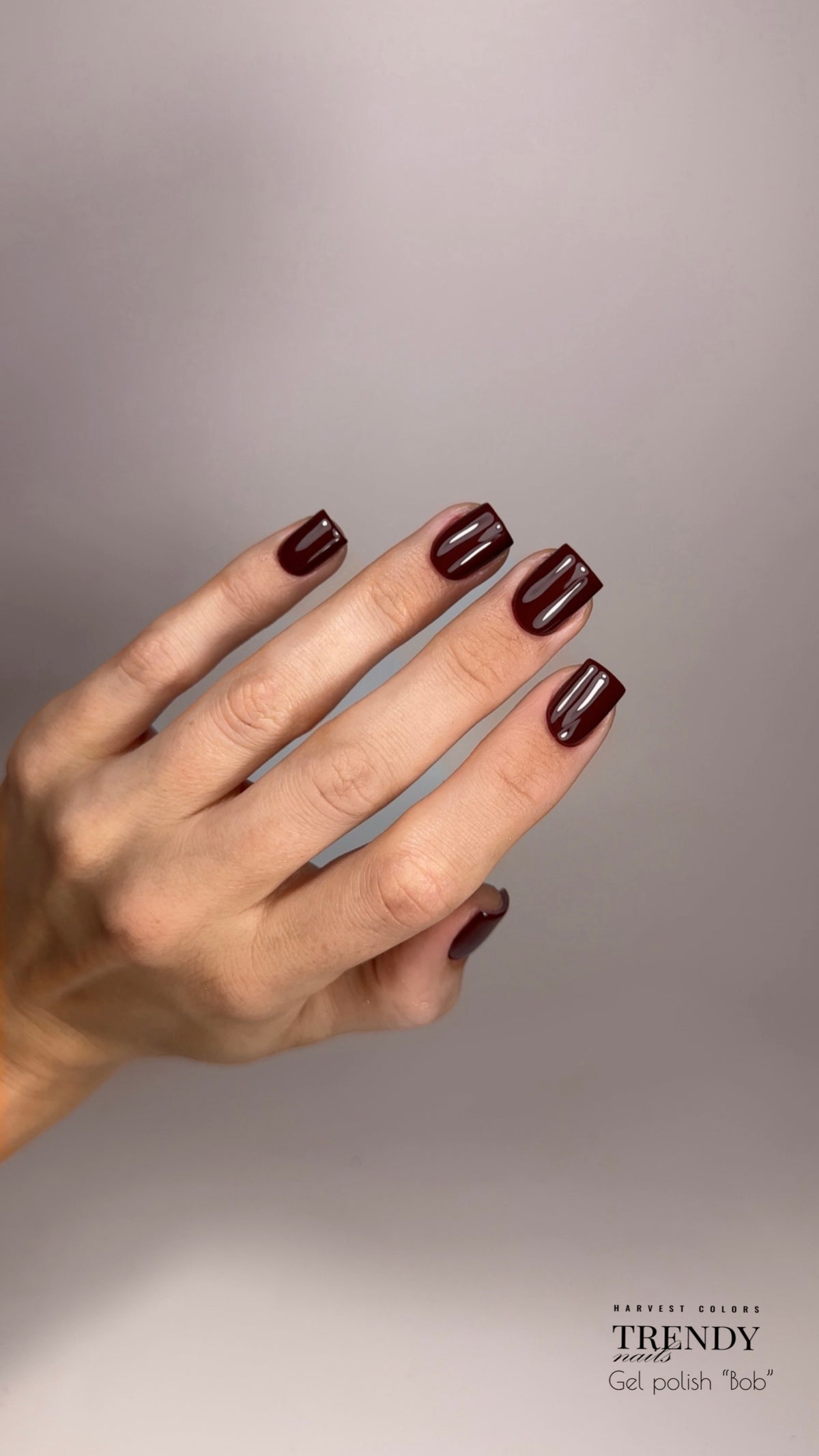 Collezione di Smalti in Gel Vintage Chic (5x8ml) di Trendy Nails