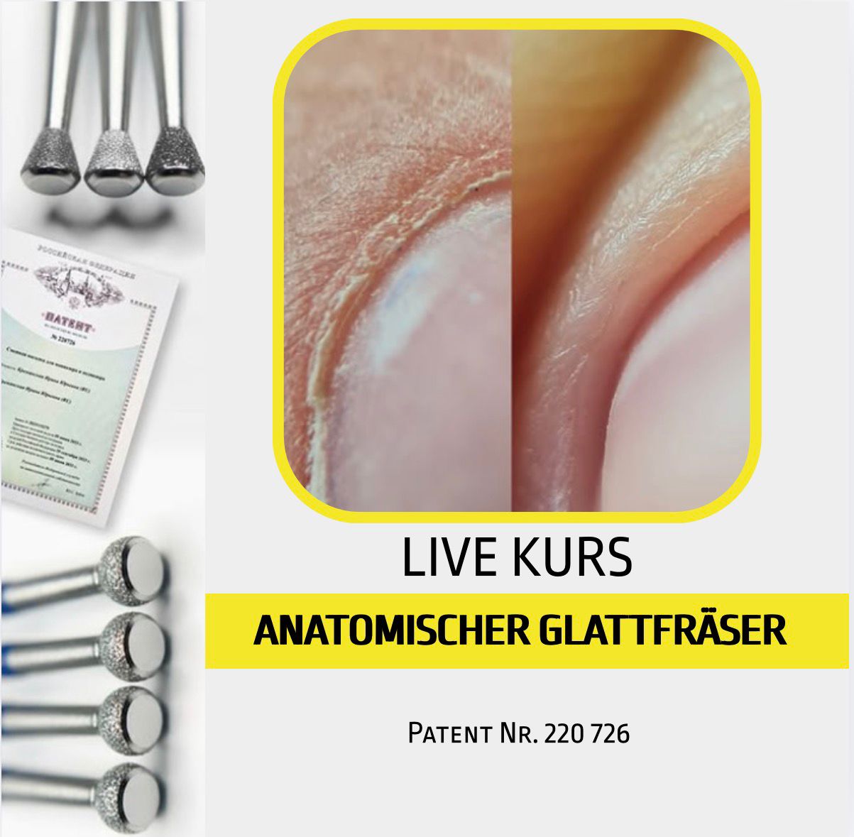 LIVE Kurs Anatomischer Glattfräser von Natalie Schleicher am 01.03.2026 in Mechernich in deutscher Sprache