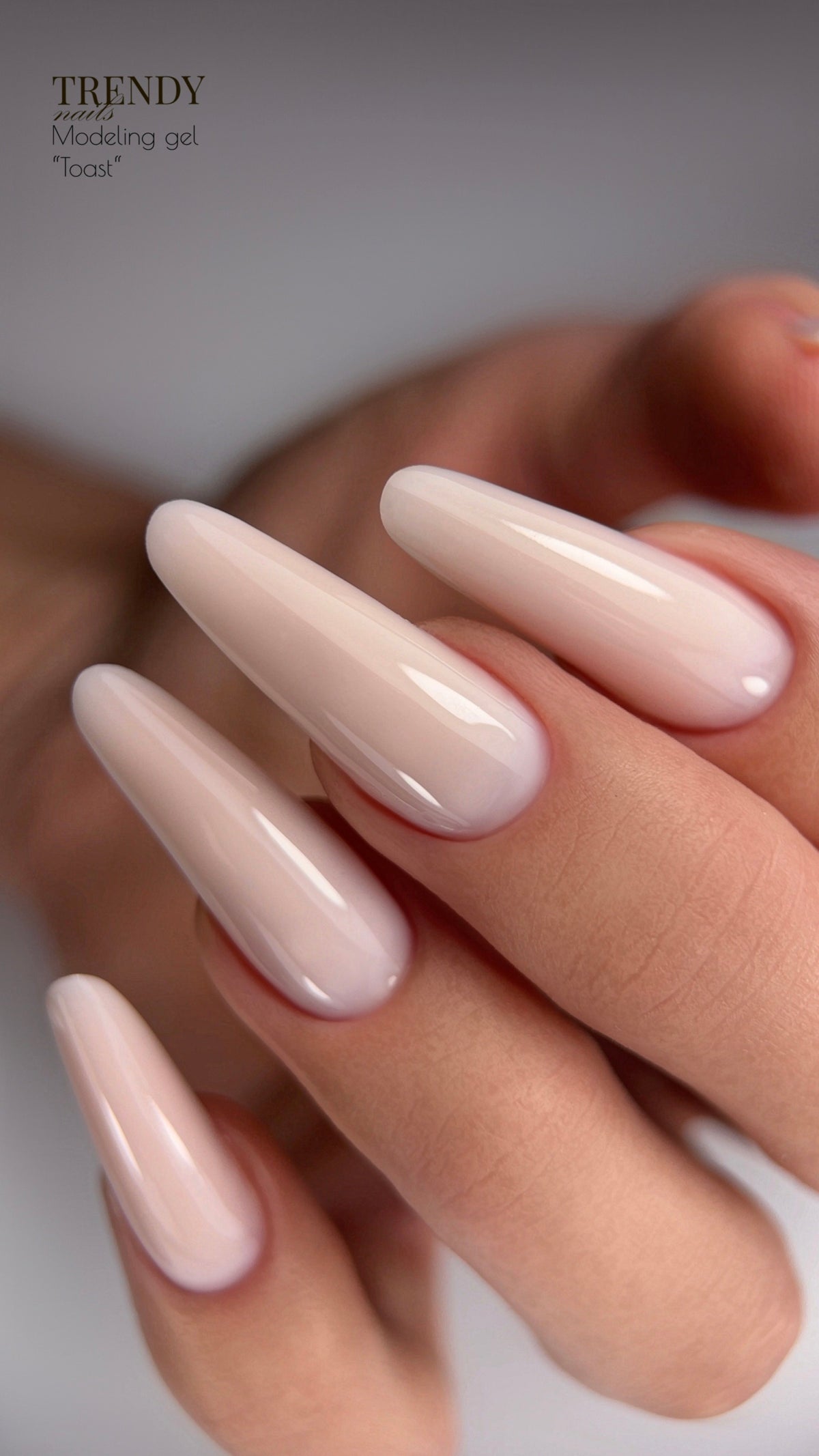 Modeling Gel Toast (15ml/30ml/50ml) (TPO-free)