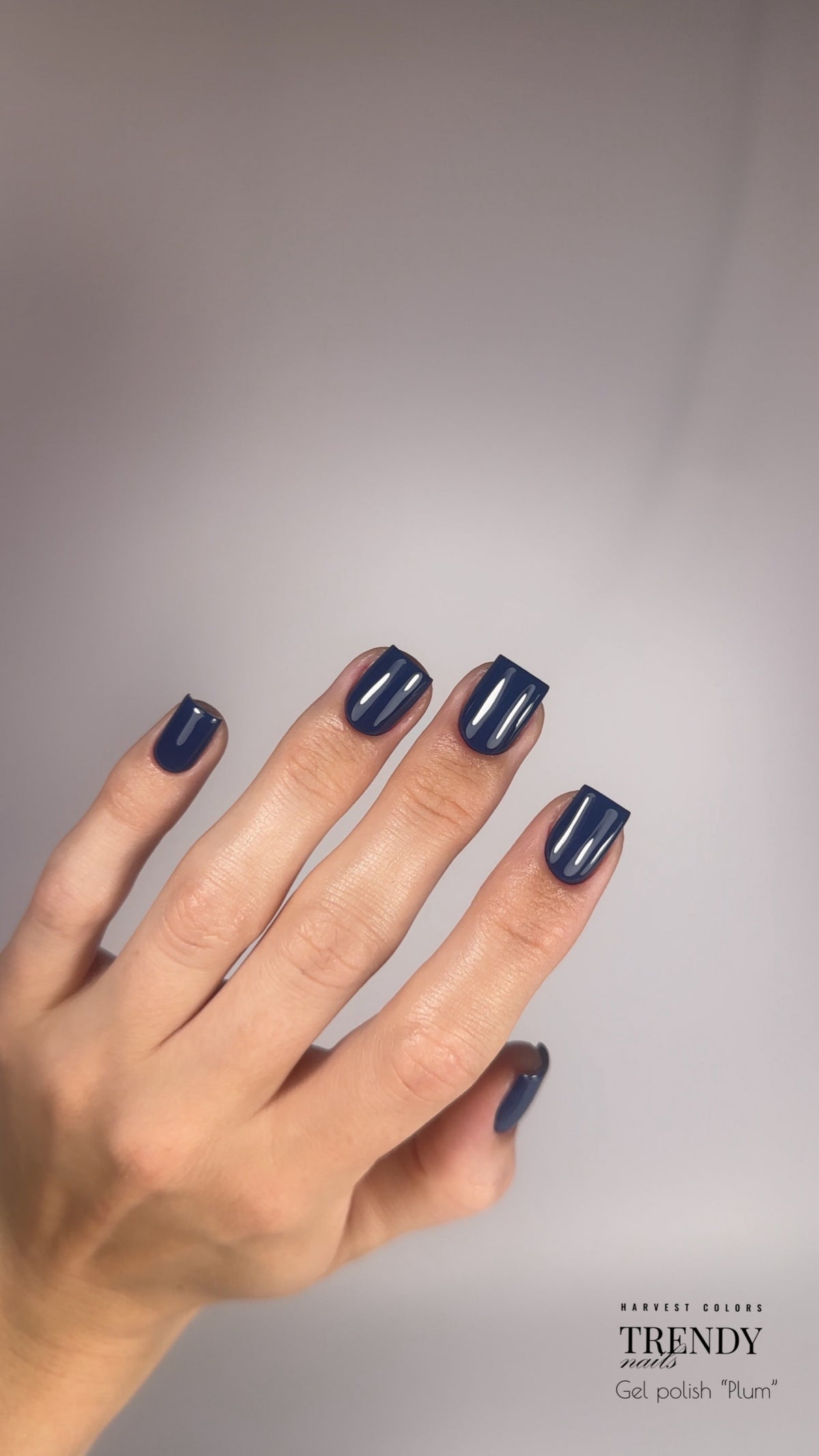 Gel Polish Plum 5ml/10ml von Trendy Nails (TPO/HEMA-free)