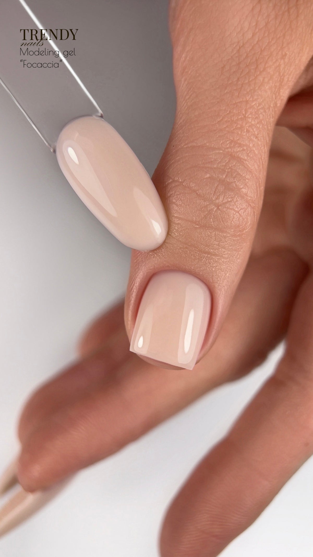 Modeling Gel Focaccia (15ml/30ml/50ml) (TPO-free)