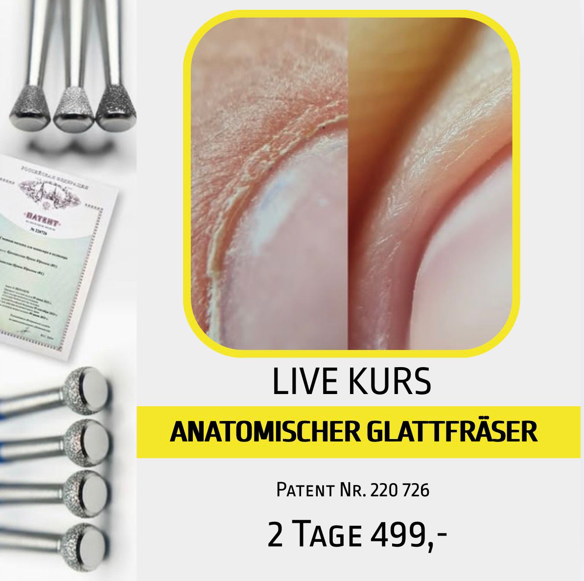 LIVE Kurs Anatomischer Glattfräser von Natalie Schleicher in Mechernich in deutscher Sprache-Termin nach Vereinbarung