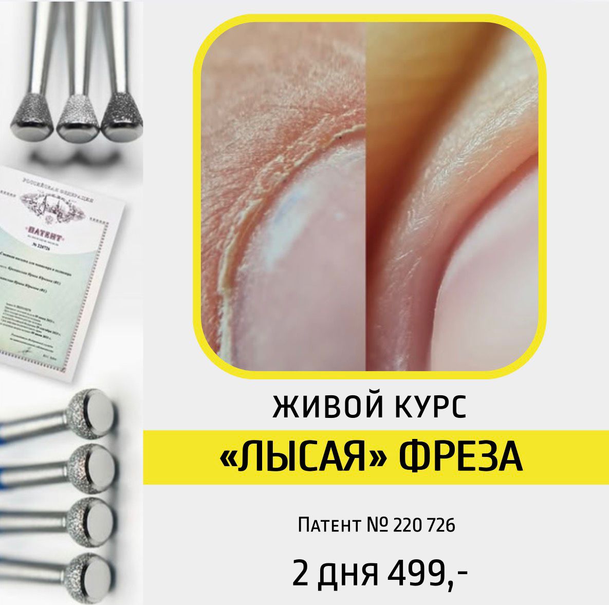 LIVE Kurs Lysaya Freza von Natalie Schleicher am 28-29.03.2026 in Mechernich in russischer Sprache